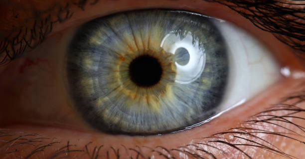 4 Essential Benefits of Undergoing Lasik Eye Surgery
